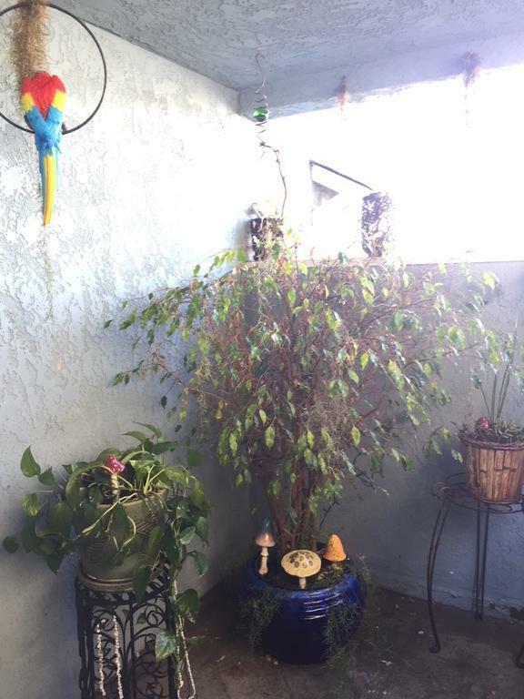 סן דייגו Pacific Beach Butterfly Suite מראה חיצוני תמונה