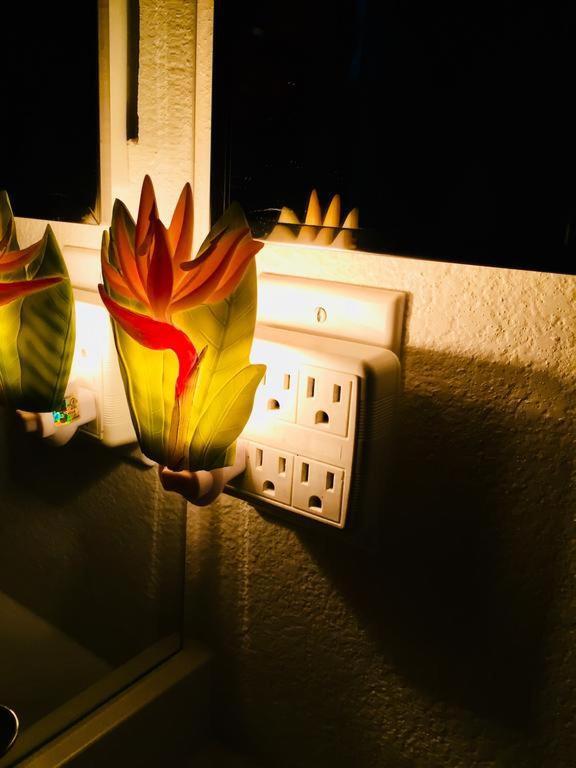 סן דייגו Pacific Beach Butterfly Suite מראה חיצוני תמונה
